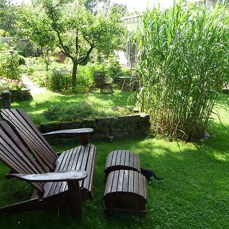 Ferienhaus Gartenlust Dierdorf الغرفة الصورة