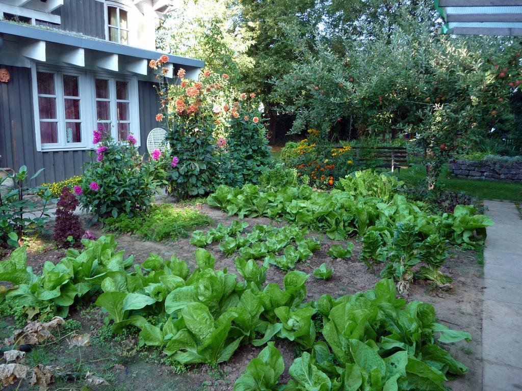 Ferienhaus Gartenlust Dierdorf الغرفة الصورة